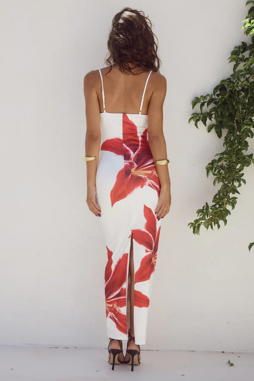 Cyrith - Printed Flower Back Slit Maxi Dress