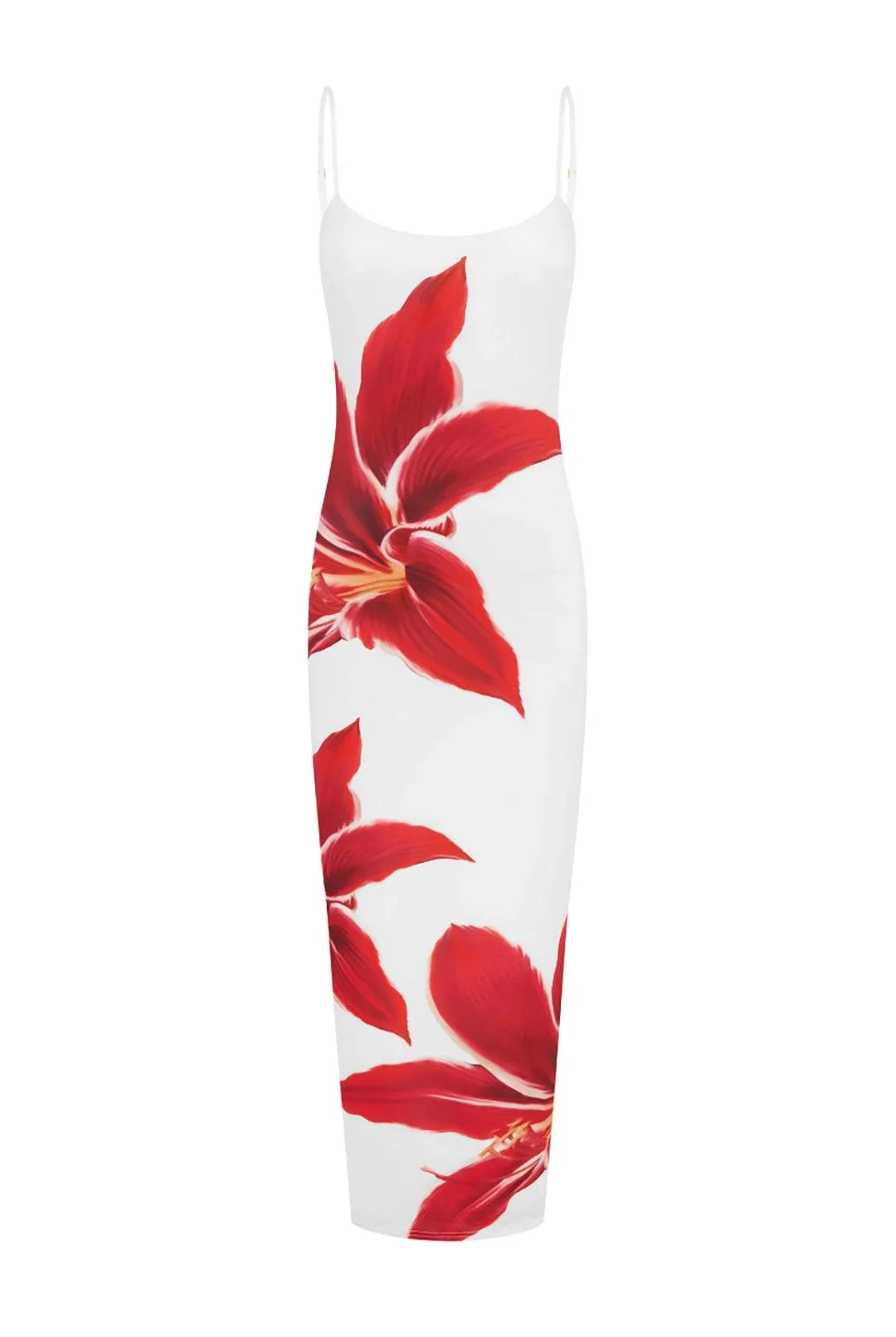 Cyrith - Printed Flower Back Slit Maxi Dress